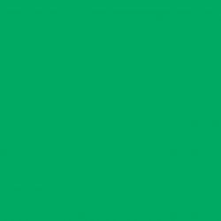 QuickFlex Revolution - 3625 Light Green