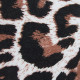 620 Leopard