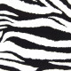 622 Zebra