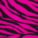 623 Zebra Fluo Pink