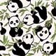 1671 Pandas