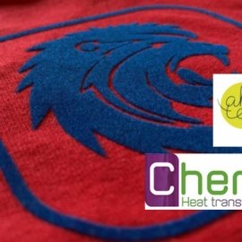  Flock & Flex Convention